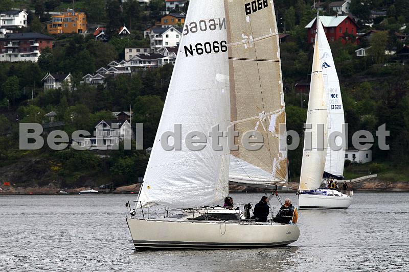 Bundefjorden2012 017.jpg
